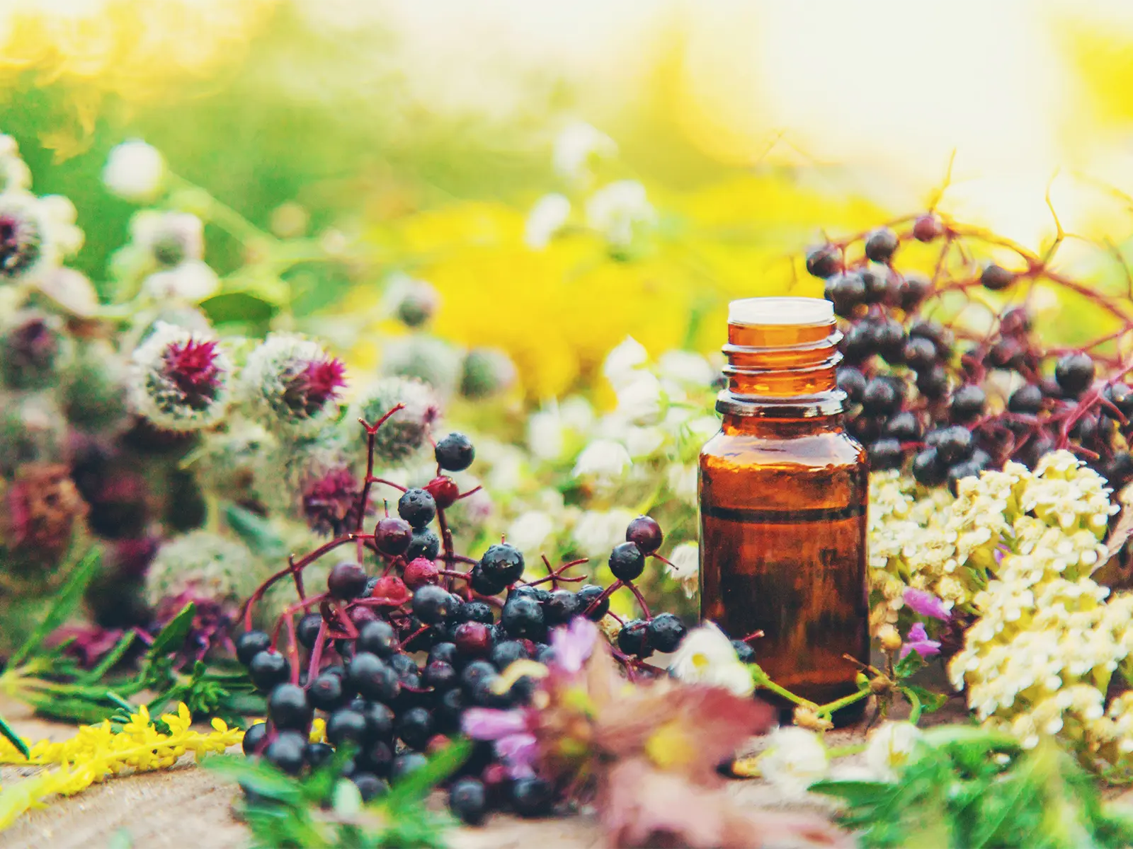 Naturheilpraxis Claus Jahn Komplexhomöopathie
